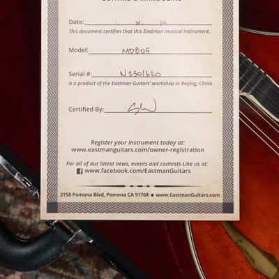 Eastman MD805 A-Style Mandolin with Softshell Case image 16