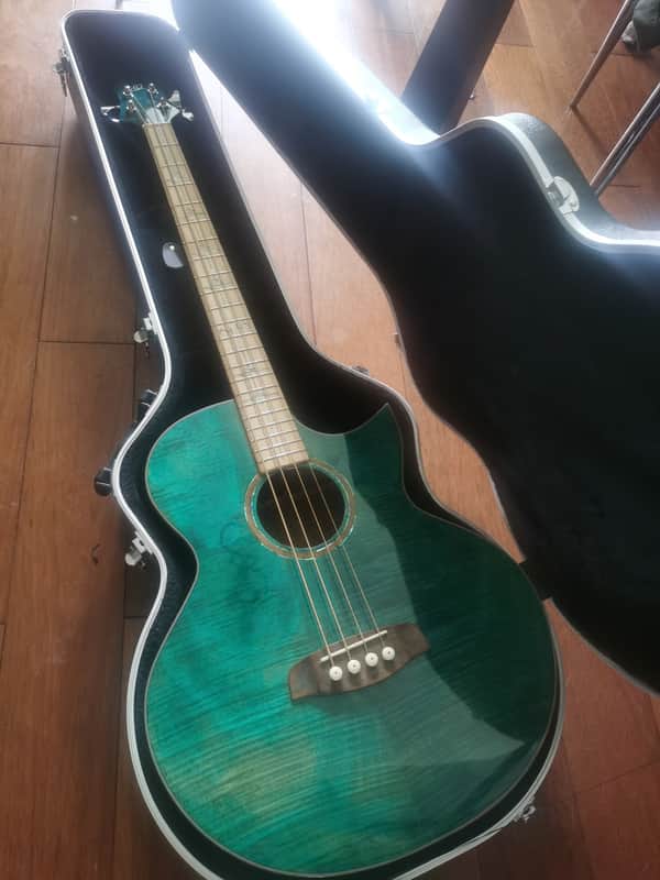Ortega 25th Anniversary walker VIDEO
with stagg hard case image 1