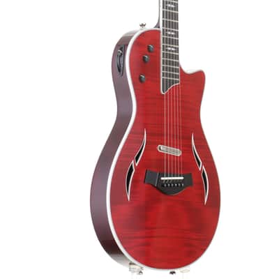 TAYLOR T5z Pro BRR [1110276103] (05/21) image 8