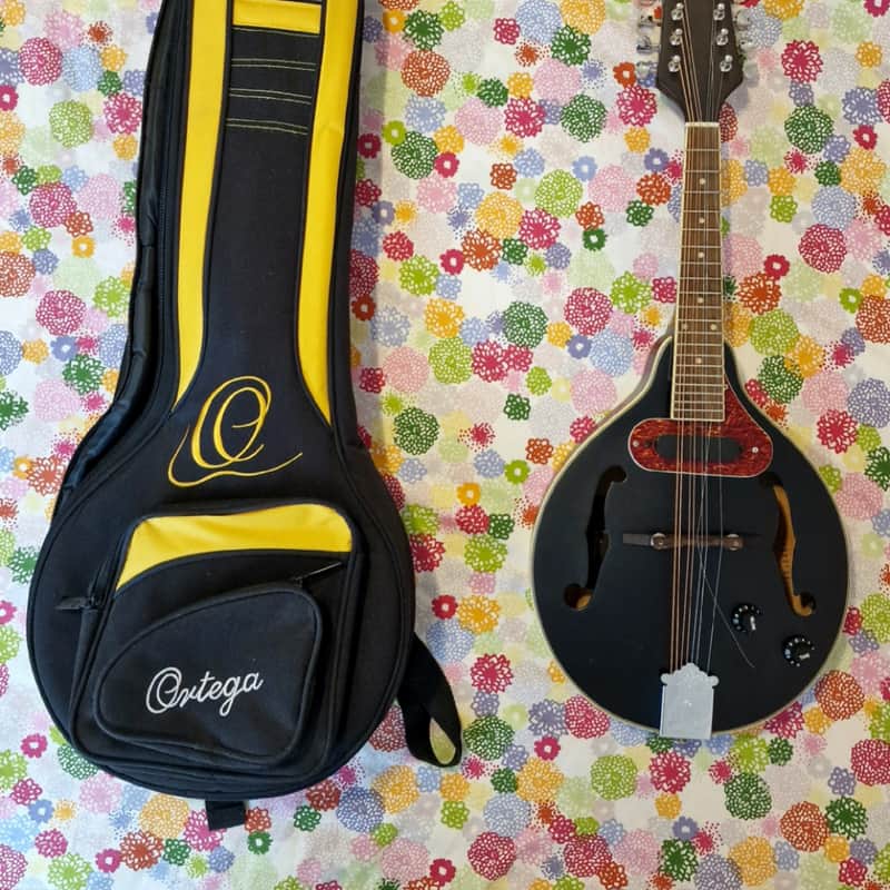 2012 Ortega RMAE20 Satin Black