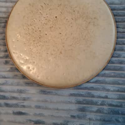 1950s - early 1960s ROGERS 12" inch DRUMHEAD BREAD & BUTTER era B&B Oval Logo Drum Head image 2