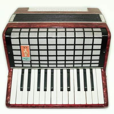 Russian Lightweight Piano Accordion 60 Bass Yunost for Beginners Children Kids, New Straps, Small Concertina Musicales for Study, 2550 image 6