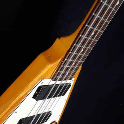 Epiphone Flying V Bass 2010 image 10