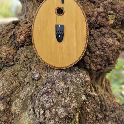 Kobza 4 String Acoustic Guitar Vihuela Ukrainian Folk Traditional Instrument Lute Vintage image 2
