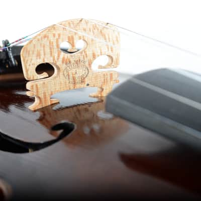 Vintage Authentic Rare German Made 4/4 Violin, Fiddle Joh. Bapt. Schweitzer + Hard Case - Video image 6