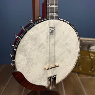 Custom Deering Eagle II 19-Fret Tenor Openback Banjo image 1