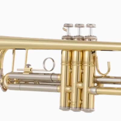 Bach BTR302 Student Trumpet - Clear Lacquer image 5
