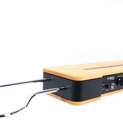 MOOG Etherwave Theremin Synthesizer Ash Wood - Model 2022 like Etherwave PLUS // NEU + OVP + GARANTIE✅ image 3