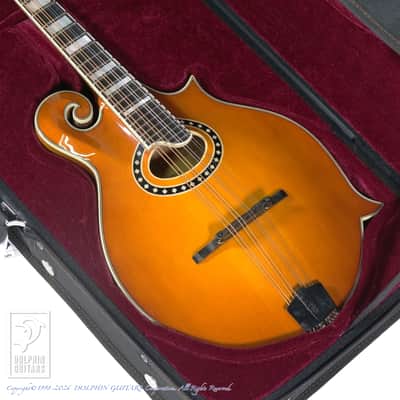 Eastman MD-614/GB image 14