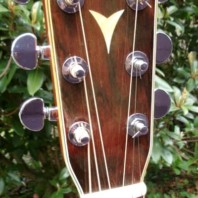 1976 Yairi YW-600 Dreadnought Guitar New Jacaranda + Vintage Hard Case image 6
