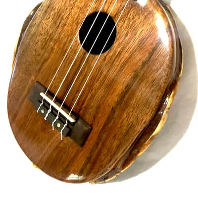 Turtle Shell Soprano Ukulele image 10