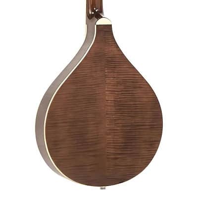 Gold Tone Banjola+ S Solid Spruce Top Woodbody Banjo with Scoop, Pickup & Hard Case image 2
