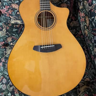 Breedlove Performer Pro CE image 1