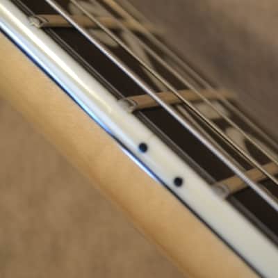 Mayones Regius 25th Anniversary image 15