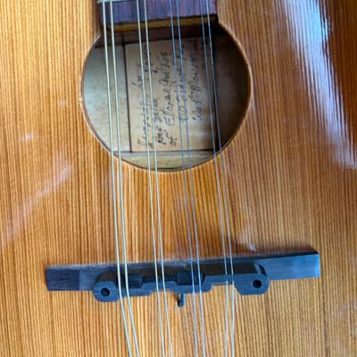 Elloree electric/acoustic mandolin custom mid-90's image 1