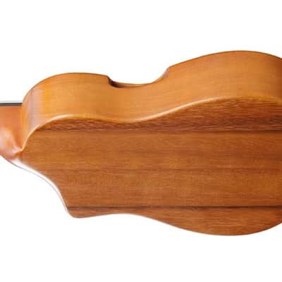Ibanez Aup10 Nolb image 2