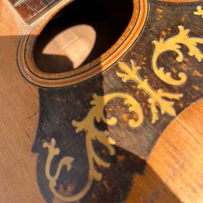 American Conservatory, Lyon & Healy Bowl Back Mandolin image 2