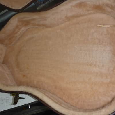 Acoustic Guitar Case 43x16x12 1/2 ( 4 " Depth ) Brown Exterior / Tan Interior image 4