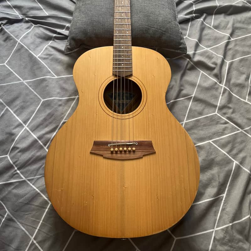 2019 Cole Clark AN1E-BM Satin