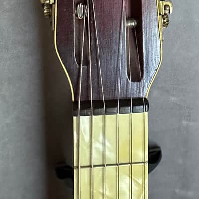 Stromberg Voisinet Hawaiian Parlor Guitar 1920's image 12