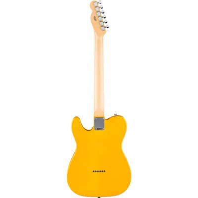 Fender Standard Telecaster butterscotch blonde Bild 2