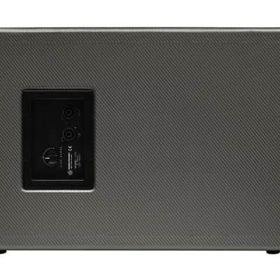 Darkglass Electronics DG210N Bass Cabinet image 4