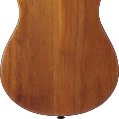 Ibanez AUT10-OPN AU Tenor Ukulele - Open Pore Natural + Gig Bag image 8