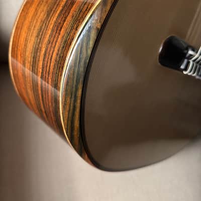 Tomas Fiore Classical Cutaway Crossover Brazilian Rosewood MiSi Pickup Stauffer Style Neck image 7