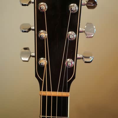 Larrivee D-10E image 12