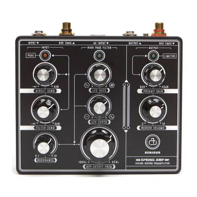 Benidub SPRING AMP - HI-FI Spring Reverb Amplifier image 1