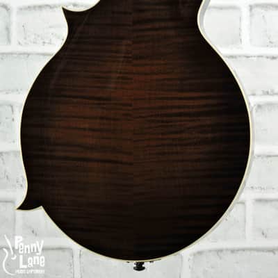 Northfield Big-Mon Icelandic Brown Adirondack Spruce Top F-Style Mandolin with Case image 4
