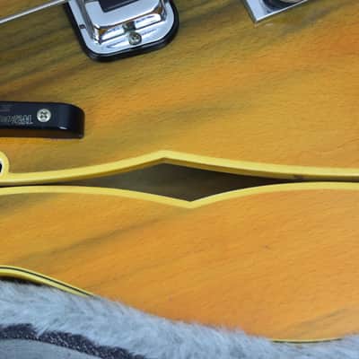 1967 Fender Coronado Bass II - Wildwood "Rainbow Golds" image 18