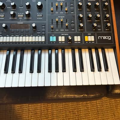 Moog Muse 8-Voice Analog Synthesizer 2024 - Present - Black image 7