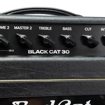 Bad Cat Mod Shop Black Cat 30 2-Channel 30-Watt Guitar Amp Head 2026 - Present - Black image 2