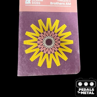 Chase Bliss Audio Brothers AM 2025 - Present - Various - X16521 image 2