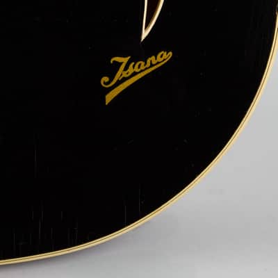 Isana Black Pearl Arch Top Acoustic Guitar (1959), molded fiberglass hard shell case. image 17