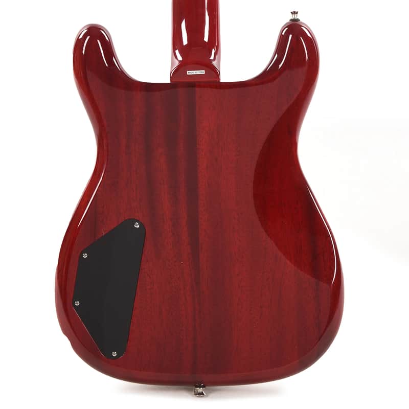 Epiphone Newport Bass 2023 - Present image 4
