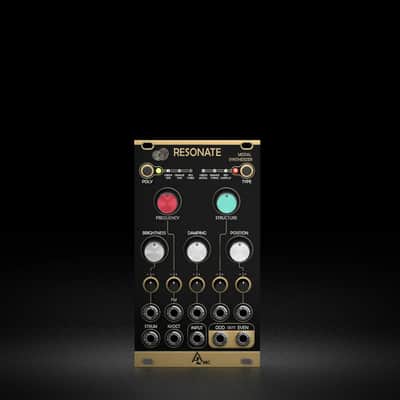AFTER LATER AUDIO RESONATE (FULL SIZE RINGS) : BRAND NEW :  [DETROIT MODULAR] image 2