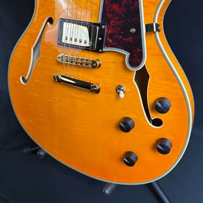 D'Angelico Excel DC Semi-Hollow Body Electric Guitar Amber Finish w/ OHSC image 8