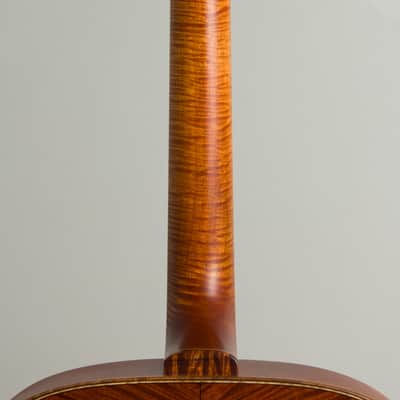 Bayard Blaine-Bayard Guitars L-5 Multi-Scale Carved Top Mandocello (2025), ser. #0313, molded fiberglass hard shell case. image 9