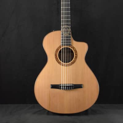 Taylor JMSM Jason Mraz Signature Model image 2