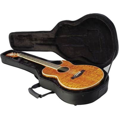 SKB 1SKB-SC30 Thin-Line AE/Classic Soft Case image 1