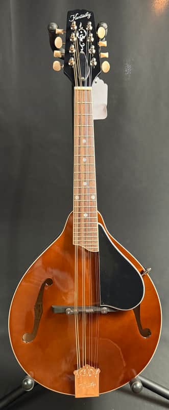 Kentucky KM-256 Artist Deluxe A-Style Mandolin Transparent Brown w/ Gig Bag image 1