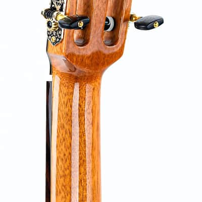 Cordoba Stage Limited Blue Burst image 6