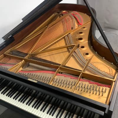 Steinway & Sons Grand Piano Model B, Hamburg 1968 image 6
