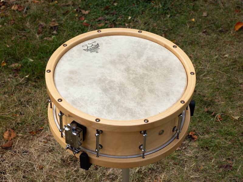 Pacific SX Series w/ Maple Hoop, 5.5x14" 10 lug Snare Drum image 1