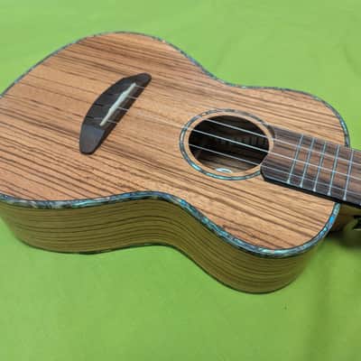QUALITY SOPRANO UKULELE DONNER DUC -2 WITH CASE image 6