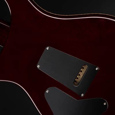 PRS Eddie's Guitars Wood Library DGT (David Grissom Trem)/Mahogany Neck - Aquableux Purple Burst image 12