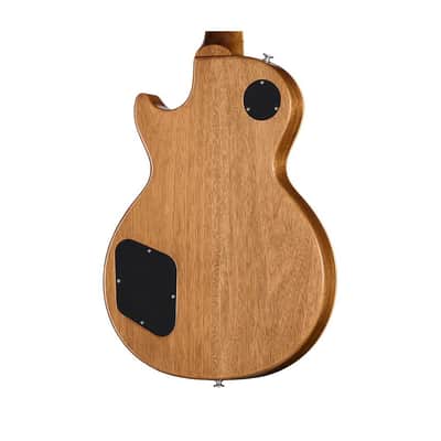 Gibson Les Paul Standard '60s Double Trouble image 4