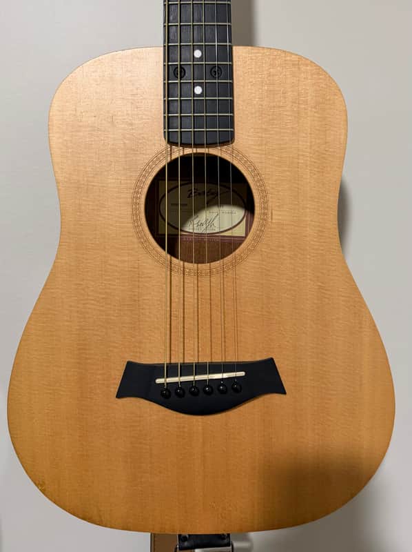 Taylor Baby Taylor (BT1)